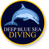 Deep Blue Sea Diving Center